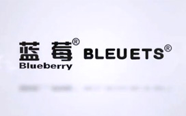 bleuets旗舰店